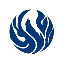US Health System logo