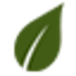 Lost Pines Toyota logo