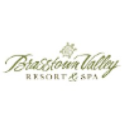 Brasstown Valley logo