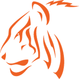 Tiger Star Construction logo