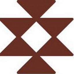 NATIVE AMERICAN HEALTH CENTER INC logo