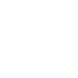 Scelion logo
