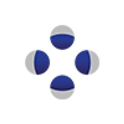 Foray Group logo
