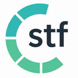 STF Group DE logo