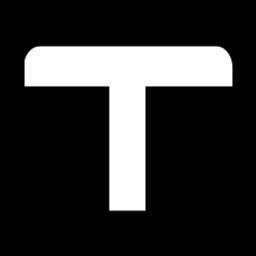 Team Automotive Group logo