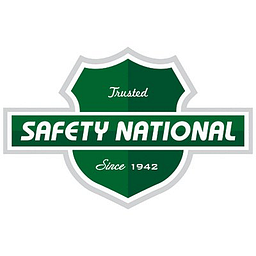 National Safety Health logo
