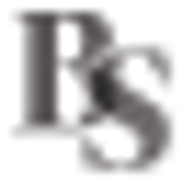 Blake Smith Staffing, LLC logo