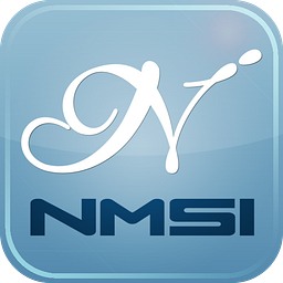 NMSI logo
