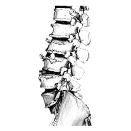 Comeback Physical Therapy logo