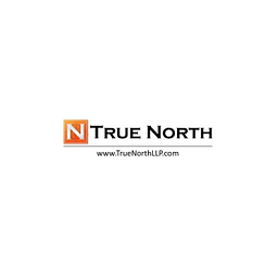 True North Group LLC. logo