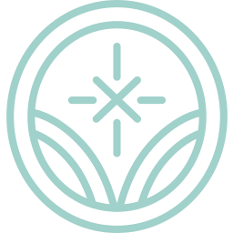 Illuminus logo