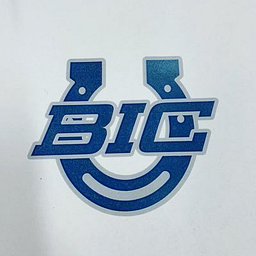 BICSchools logo