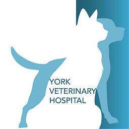 Old York Veterinary Hospital logo