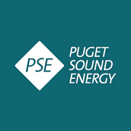 Pse logo