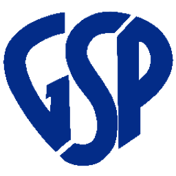 Precision logo