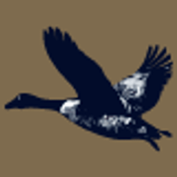 Mallard Creek ASC logo