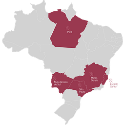 Instituto Mais Saúde logo