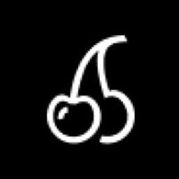 Senterprise logo