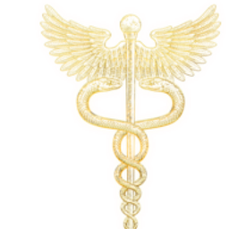 MD Staffing Services logo