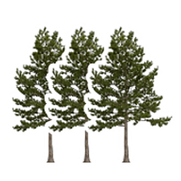 Pennant logo