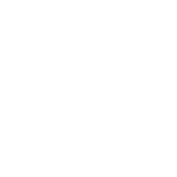 Caraway Express logo