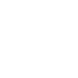 Recovery Village logo