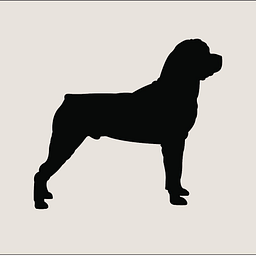 Rossmönster logo