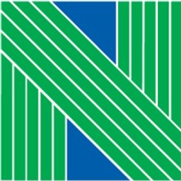 NELSON logo