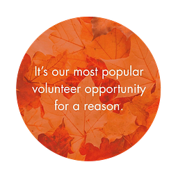 Senior Community Services Employment Program logo