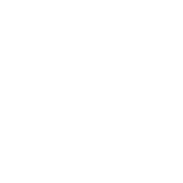 Pubity Group logo
