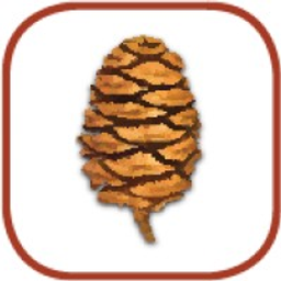 Sequoia Ecological Consulting logo