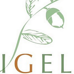 George J. Igel & Co., Inc. logo