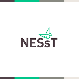NESsT Inc logo
