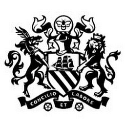 Manchester City SC logo