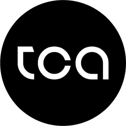The Consultant Agency logo