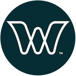 World View Enterprises logo