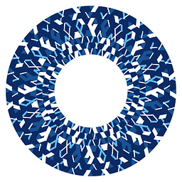 Stralynn Consulting Services, Inc. logo