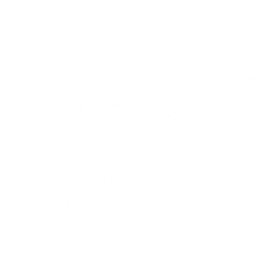 Valley Service logo