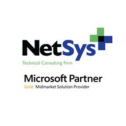 NetSys logo