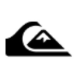 Quicksilver Express Courier logo