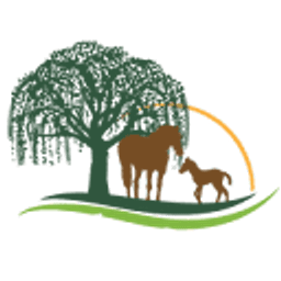 Serenity Counseling Services Of Vir logo