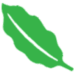 Superica - Avalon logo