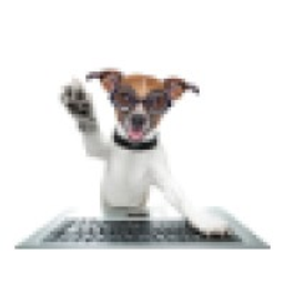 Techoundsllc logo