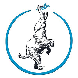 Reforming Foundations Pilates Wellness logo