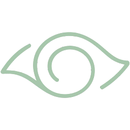 Vision Boutique logo