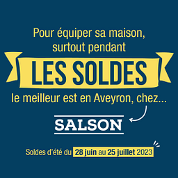 Salson logo