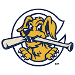 Charleston Riverdogs logo
