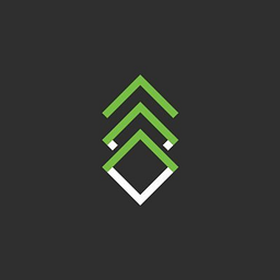 Five Nines logo