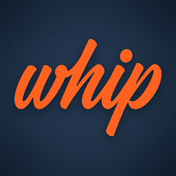 Drivewhip logo