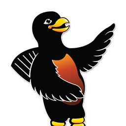 Robin Ford logo